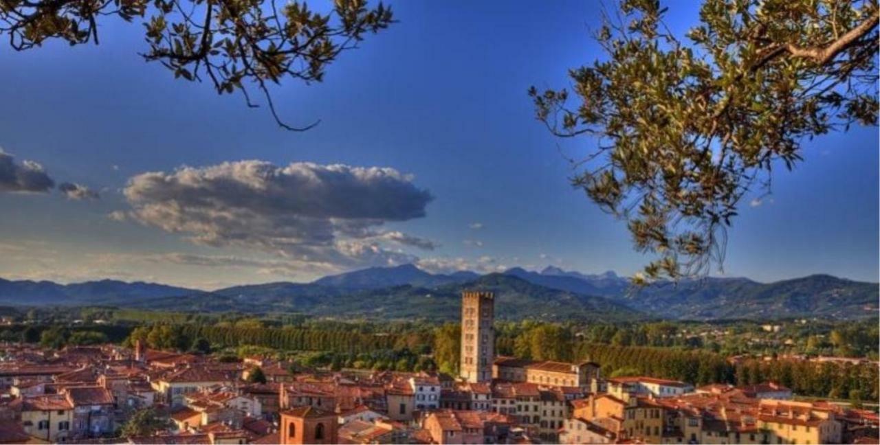 Il Glicine Di Lucca Apartment ภายนอก รูปภาพ